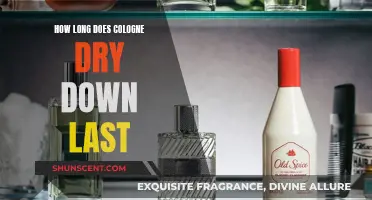 The Evolution of Scent: Cologne Dry Down's Longevity