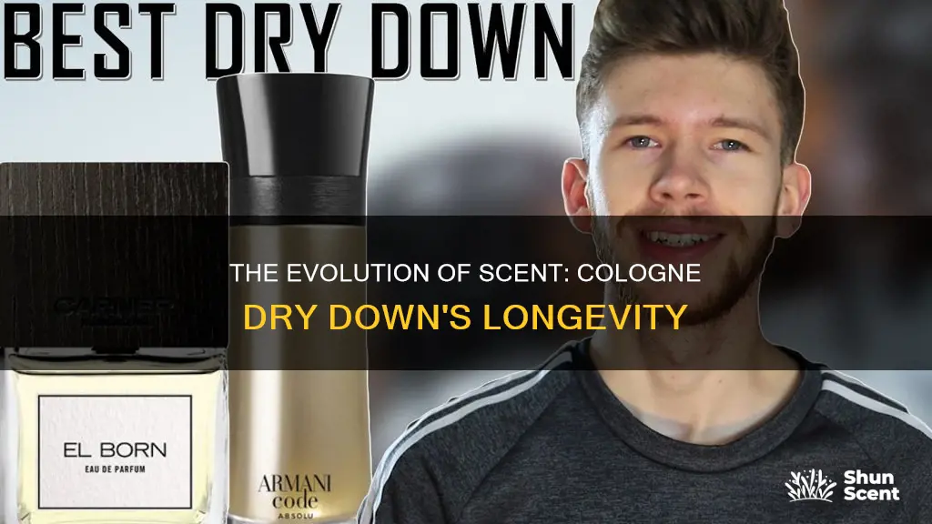 how long does cologne dry down last