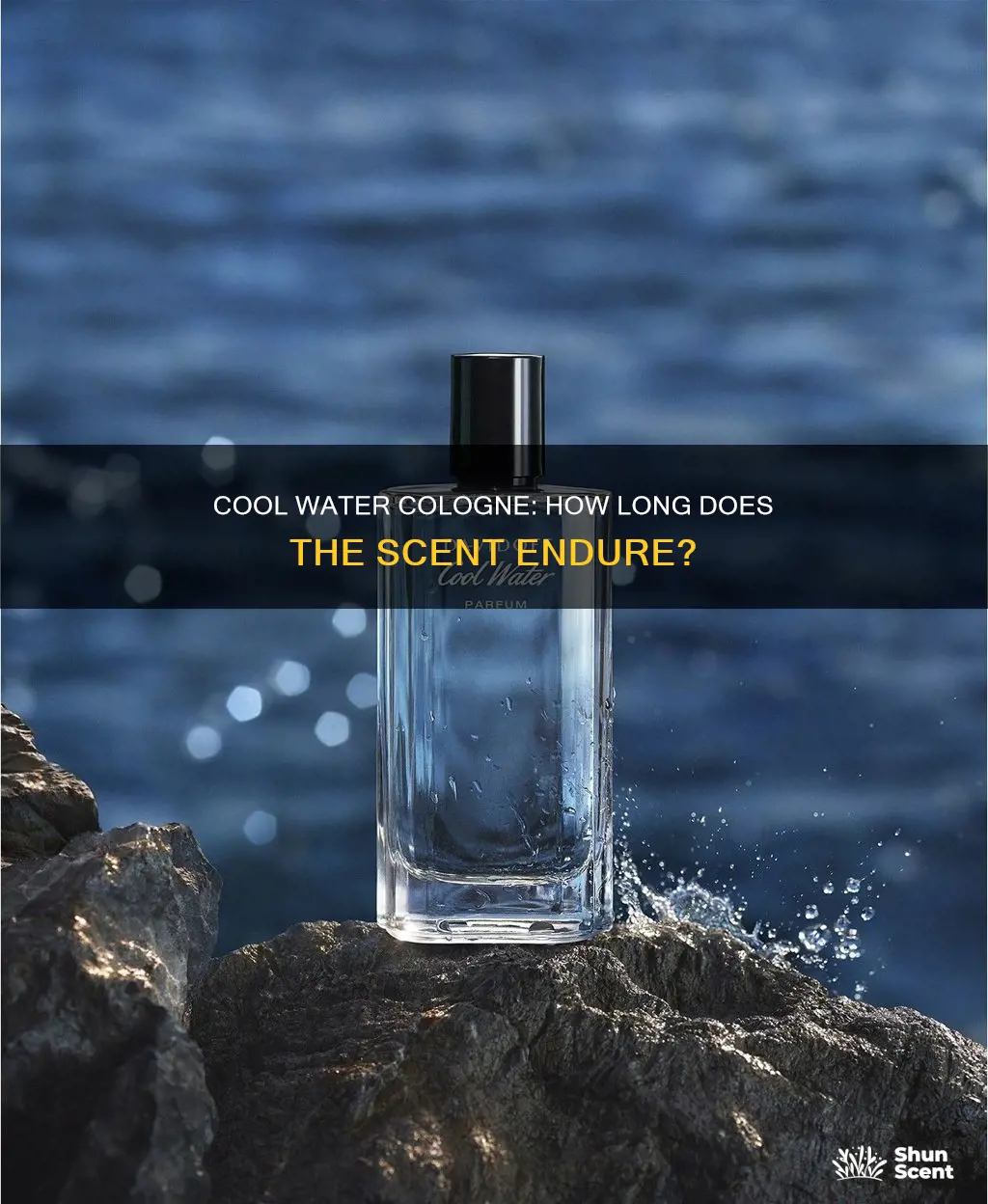 how long does cool water cologne last