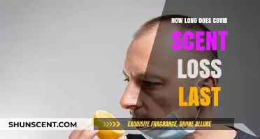 Understanding COVID-19 Scent Loss Duration: How Long Does It Last?