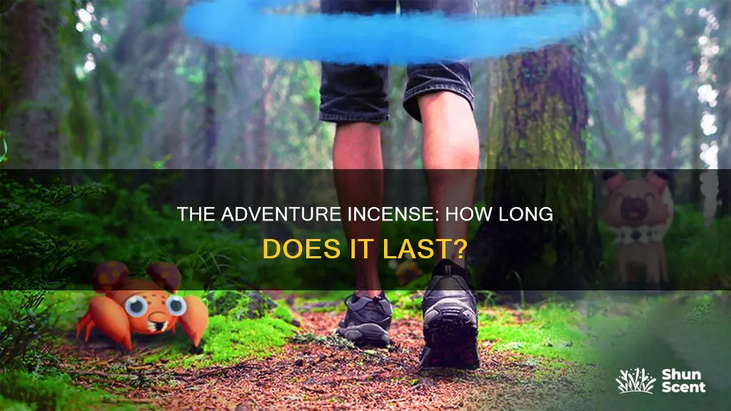 how long does daily adventure incense last