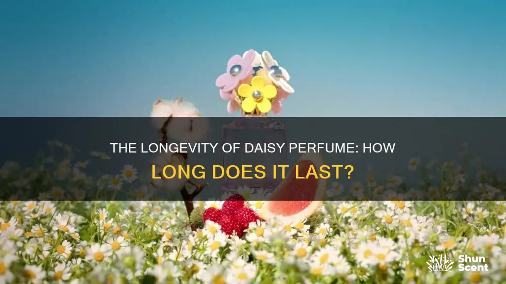 how long does daisy perfume last
