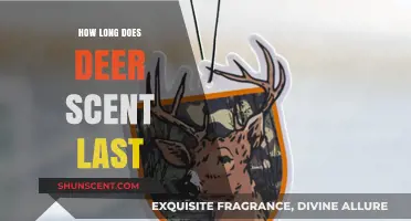 How Long Does Deer Scent Last? A Hunter's Guide to Freshness