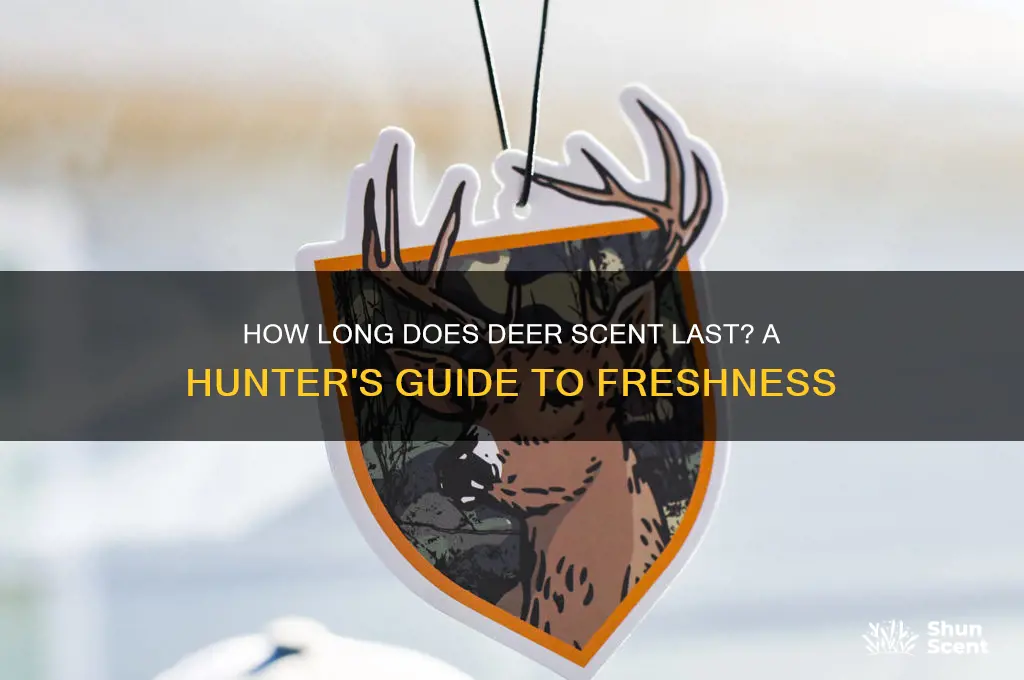 how long does deer scent last