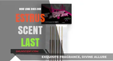 Understanding Doe Estrus Scent Duration for Effective Deer Hunting Strategies