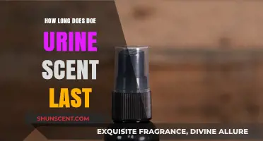 How Long Does Doe Urine Scent Last for Hunting Success?