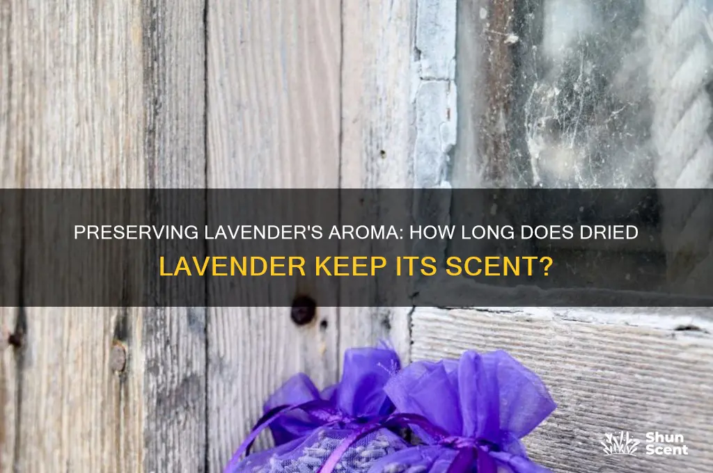 how long does dried lavender keep its scent