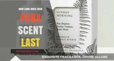Pura Scents Lifespan: How Long Do Fragrances Last in Your Space?