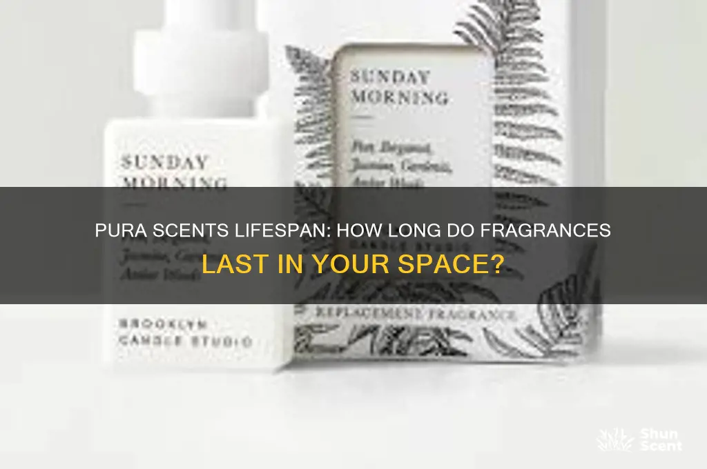 how long does each pura scent last