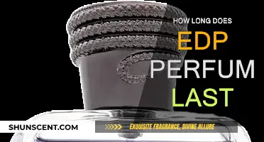 EDP Perfumes: How Long Does the Fragrance Last?