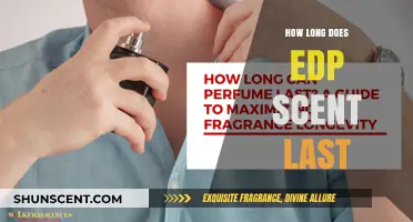 How Long Does EDP Scent Last? A Comprehensive Guide