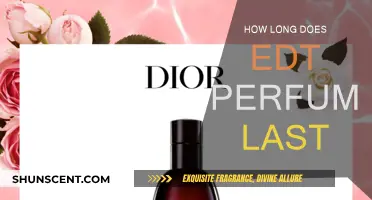EDT Perfume: How Long Does the Scent Last?