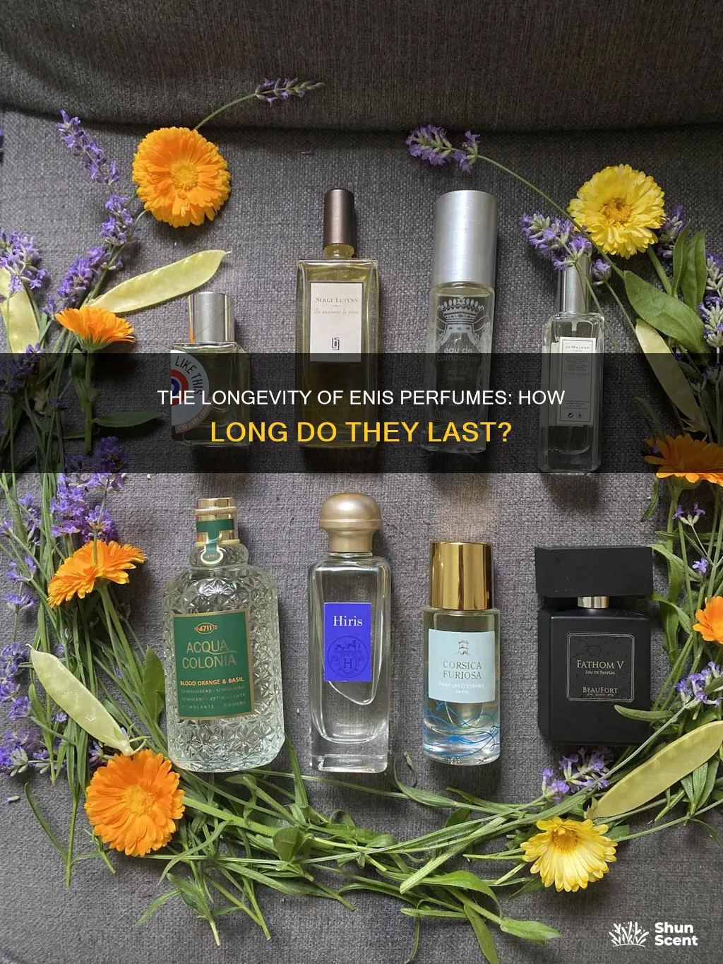 how long does enis perfume last