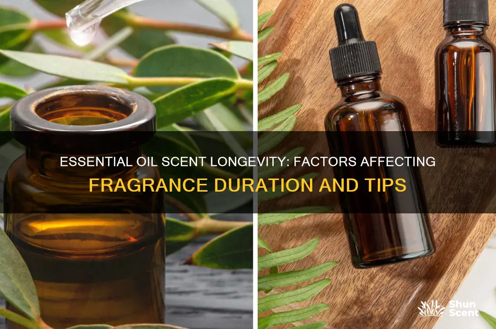 how long does essential oil scent last