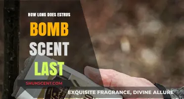 How Long Does Estrus Bomb Scent Last for Hunting Success?