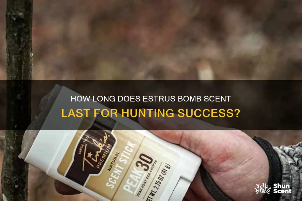 how long does estrus bomb scent last