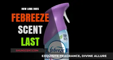 How Long Does Febreze Scent Last? A Freshness Duration Guide