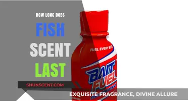 How Long Does Fish Scent Last? A Comprehensive Guide