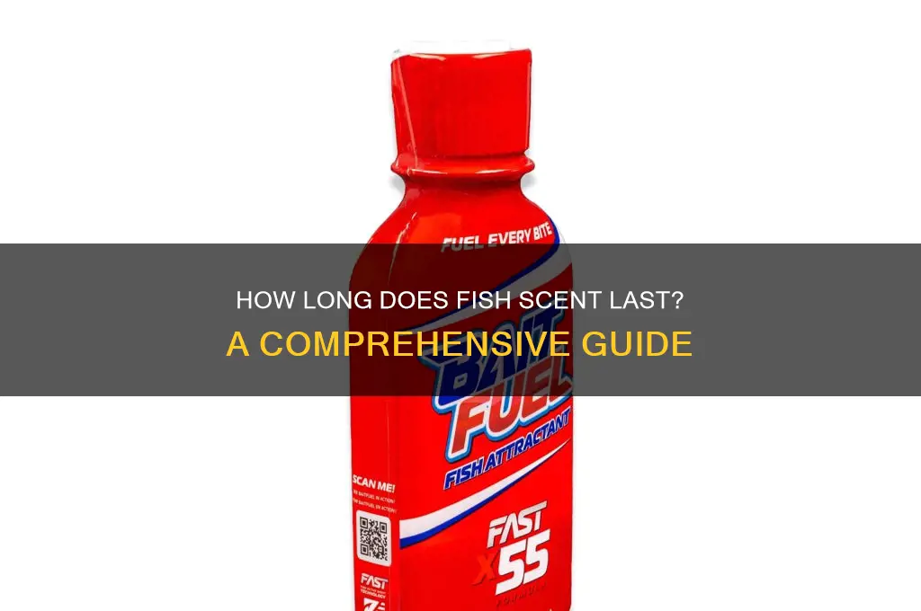 how long does fish scent last