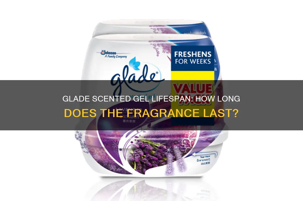 how long does glade scented gel last