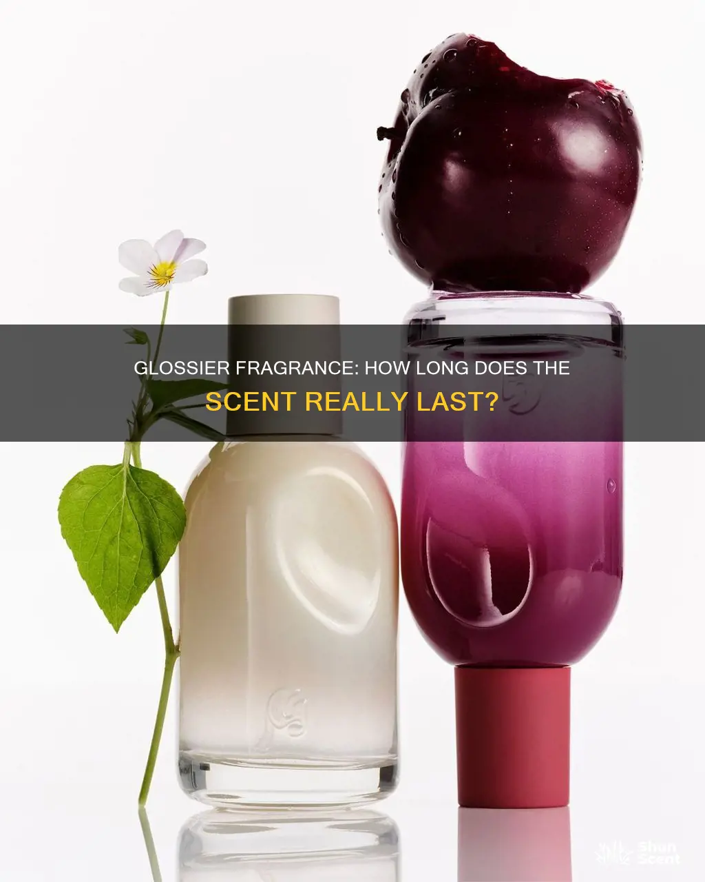 how long does glossier perfume last