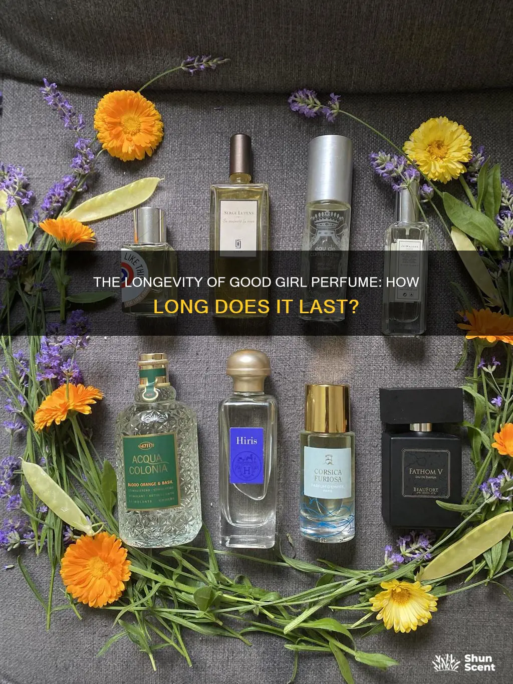 how long does good girl perfume last
