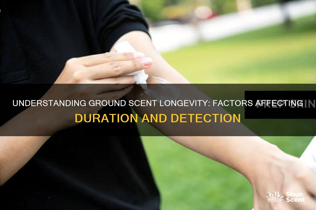how long does ground scent last