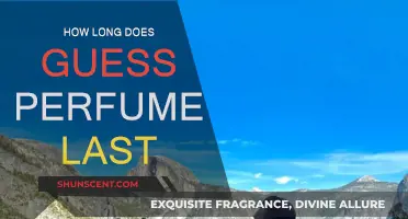 The Longevity of Guess Perfumes: How Long Do They Last?