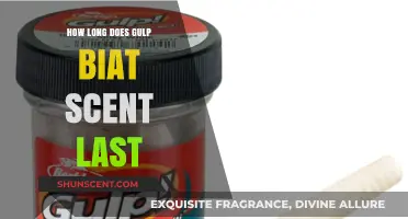 How Long Does Gulp Bait Scent Last? A Comprehensive Guide