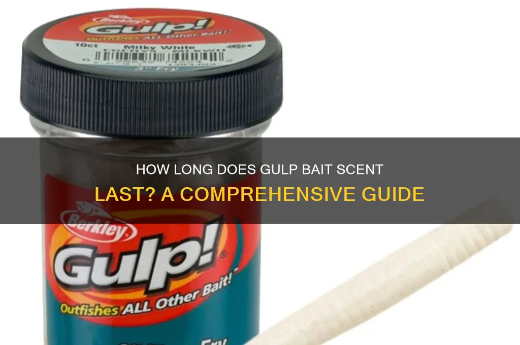 how long does gulp biat scent last