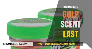 Gulp Scent Duration: How Long Does the Attractant Last?