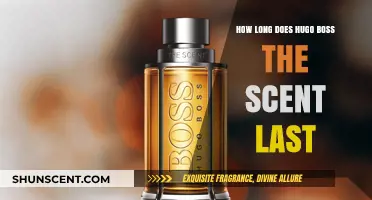 Hugo Boss The Scent Longevity: How Long Does It Last?