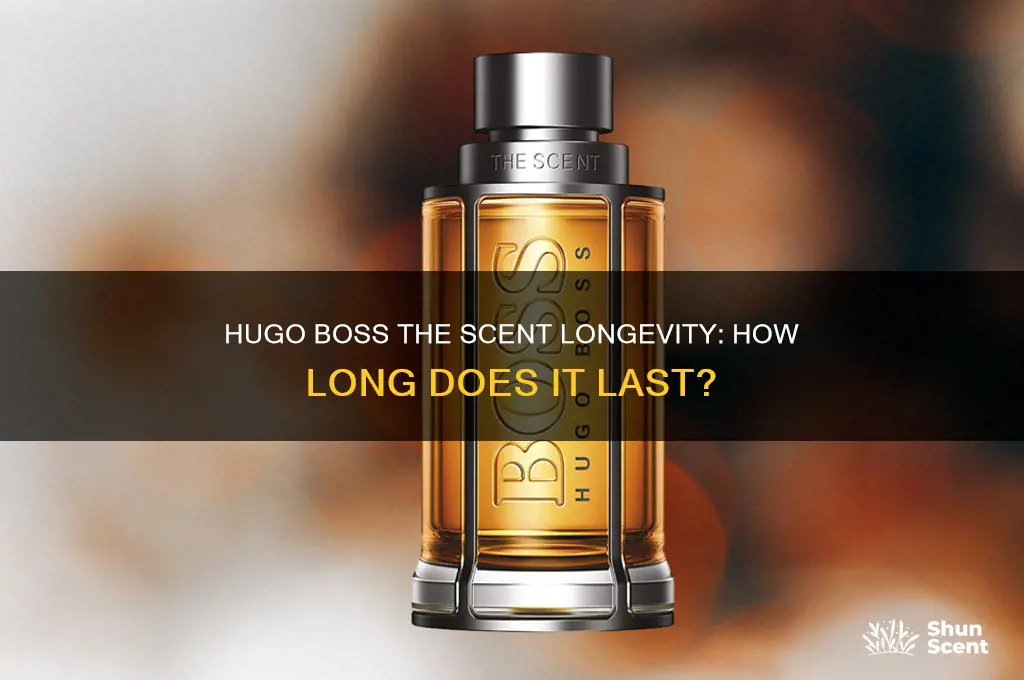 how long does hugo boss the scent last