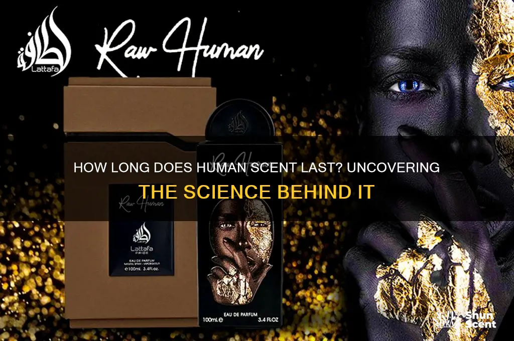 how long does human scent last