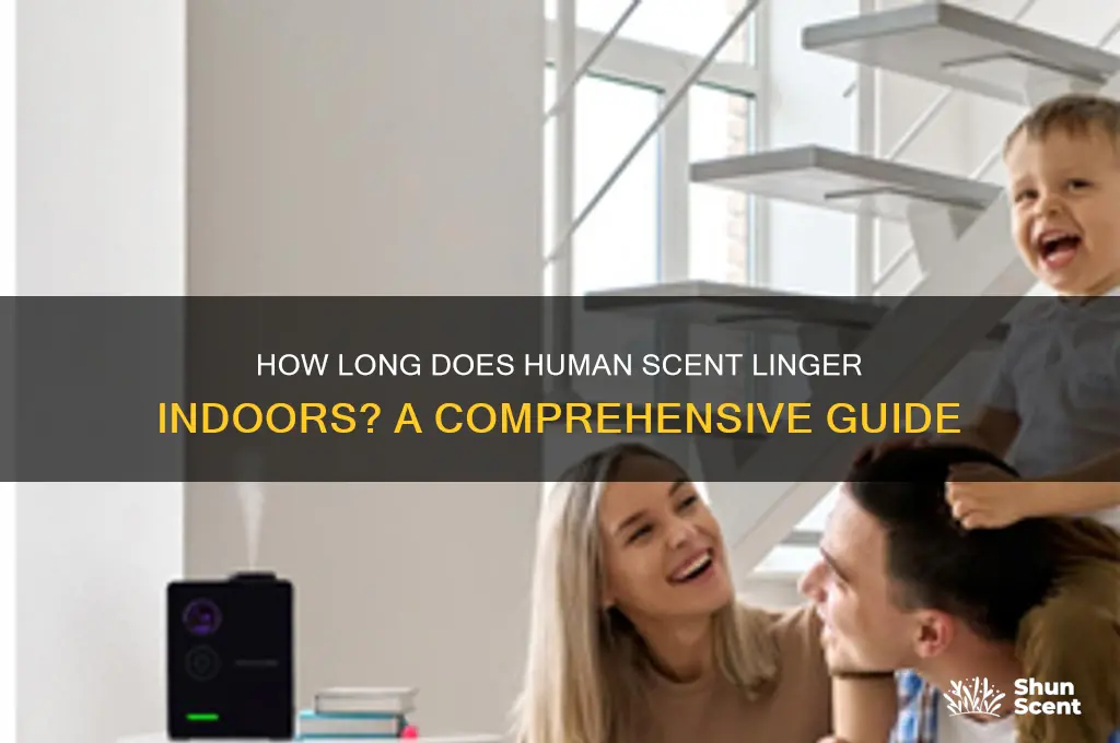 how long does human scent linger indoors