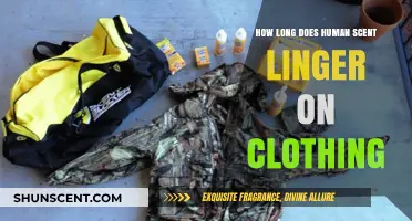 How Long Does Human Scent Linger on Clothing? Uncovering the Truth