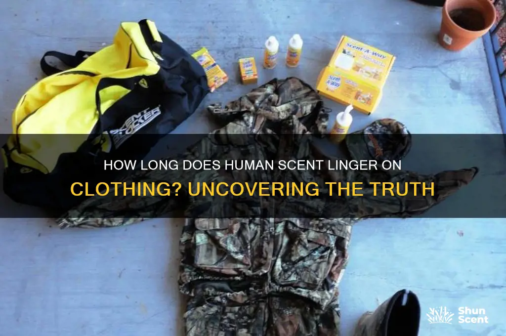 how long does human scent linger on clothing