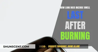 Incense Scents: How Long Do They Linger in the Air?