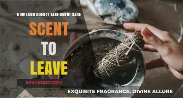How Long Does Burnt Sage Scent Linger in Your Space?