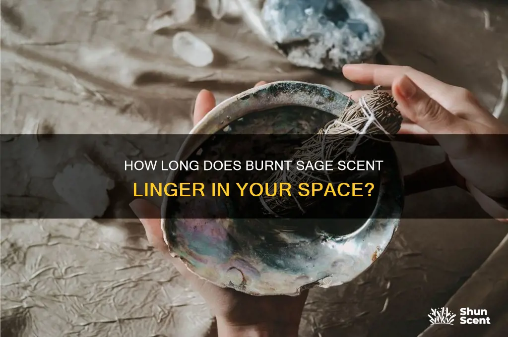 how long does it take burnt sage scent to leave
