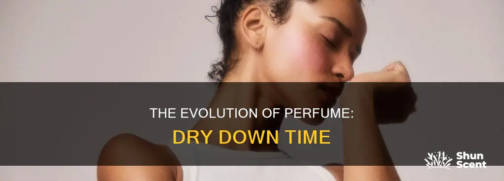 how long does it take for perfume to dry down