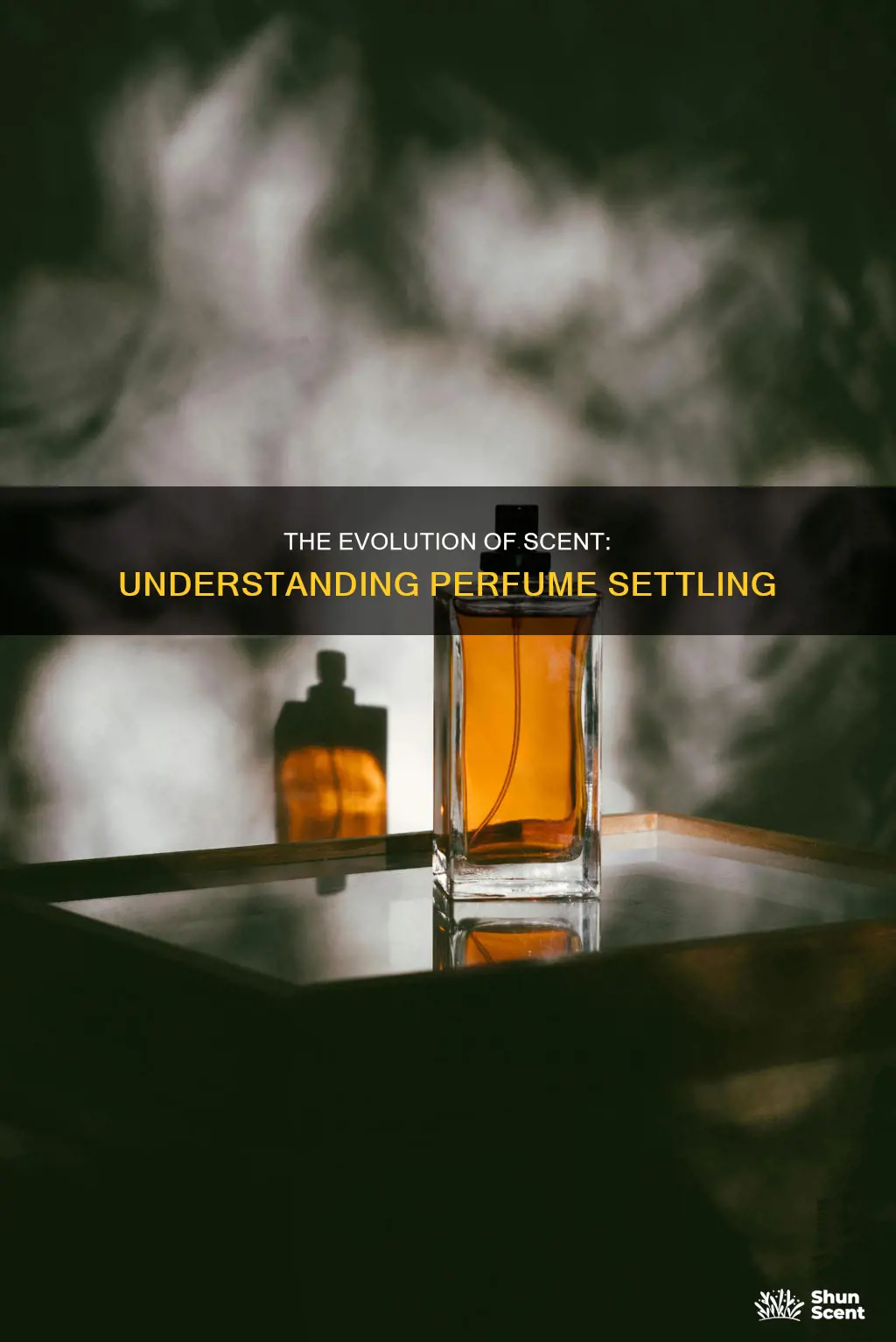 how long does it take for perfume to settle