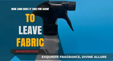 How Long Does Fabric Retain Scent? A Complete Guide to Odor Removal