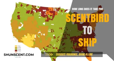 Scentbird Shipping: How Long Does It Take?