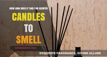 Scented Candles: Understanding the Time It Takes for Fragrance Release