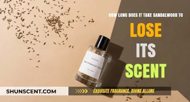 Sandalwood Scent Longevity: How Long Does the Aroma Last?