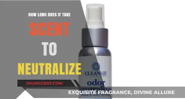 Understanding Scent Neutralization: Factors Affecting Odor Elimination Time