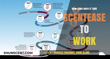 How Quickly Does Scentease Work? Understanding Its Effectiveness Timeline