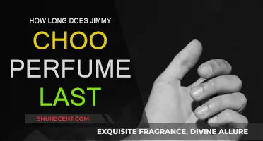 The Longevity of Jimmy Choo's Perfumes: How Long Do They Last?