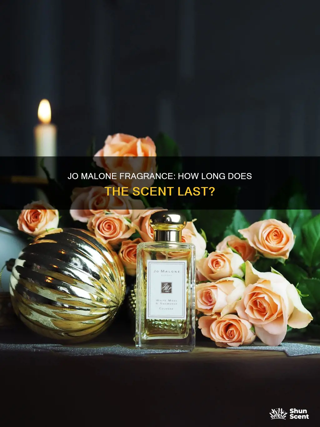 how long does jo malone perfume last
